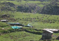 Et yaylalarda bile pahalı