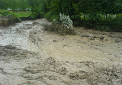 Seller ürkütüyor ama hayat devam ediyor