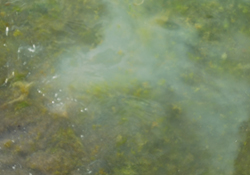 Kimyasal sızıntıya karşı denetim yok