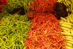 Yağmurlar köylüleri perişan etti