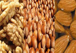 Fındıkçılarda badem korkusu