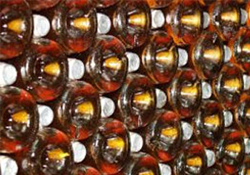 Türk şarabı, en iyi iki restoranın menüsüne girdi