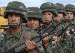 Profesyonel ordu açıklaması