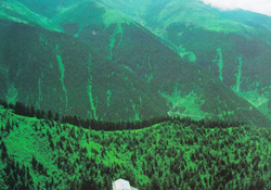 İkizdere için toplantı planlanıyor
