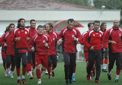 Tek çalışma yaptılar