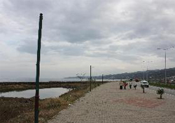 Sahildeki lambalara saldırı