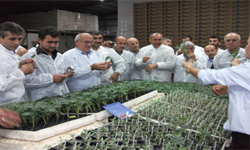 Çiftçiler Antalya'da buluştu