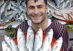 Lüfer de sezonu şaşırdı