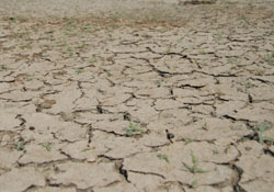 Kuraklık strateji ile önlenecek