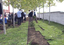 Çevreci öğrenciler fidan dikti