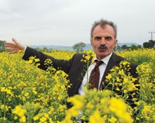 KTAE, 'Merkez' oluyor