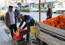 Narenciye sektörünün 2023 hedefi