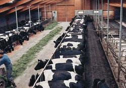 İhracat yüzde 39.16 arttı