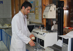 'Ekmeğimiz tehlikede'