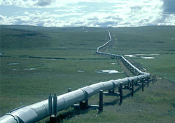 Pazarlıklar sürüyor