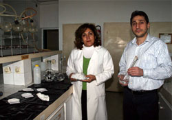 Bor madeni hayvanlarda kullanılacak