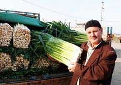 Düşük fiyat tepkisi