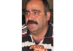 2010'da 5 milyon fidan dikildi