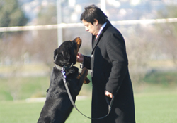 Tan yakından ilgileniyor