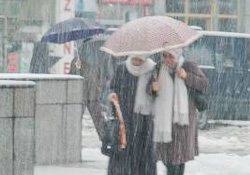 Rize'ye yılın ilk karı düştü