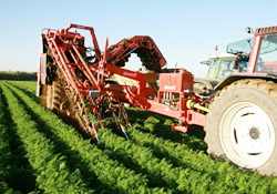 Tarım IMF ve DB çıkarlarına göre şekilleniyor