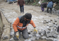 Yollarını kendileri yaptılar