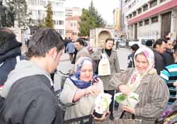 Bafra çiçek açtı
