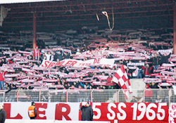 Taraftarımız harika