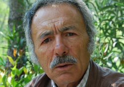 Samsun av turizminden kazanamıyor