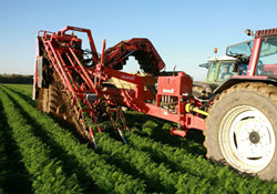 Son başvuru 1 Nisan'da