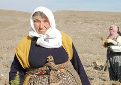 Çiftçiye destek ödemesi