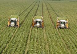 Çiftçiye destek 25 Mart'ta