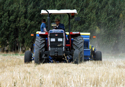 Çiftçilere büyük fırsat