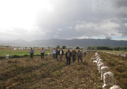 Tarım arazilerine bekçi yasaya girdi