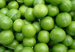 Kilosu 300 TL'den satılacak