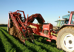 Körfez ülkelerinin gözü Türkiye'de