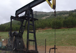 Yerli petrol kıymete bindi