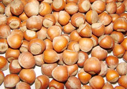 Fındığın yüzde 61'i Türkiye'den