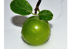 Erkenci erik 200 TL'den satılıyor