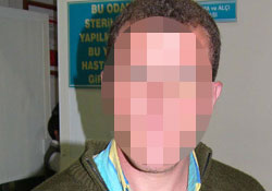 Bahçıvanı 2 kene ısırdı