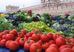 2010'da hangi tarım ürünü ne kadar üretildi