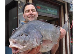 Dev balık tezgahta yerini aldı