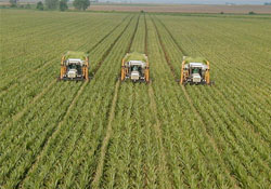 Tarımsal işletmelere 500 lira destek!