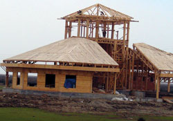 Delta'dan canlı yayın