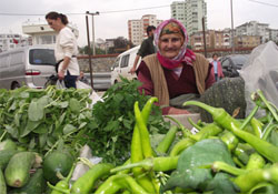 Ayva fiyatında artış