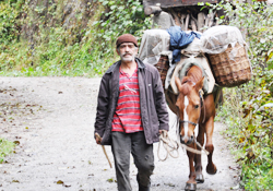 Tarım destekleri belirlendi