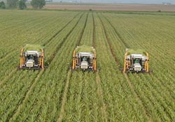 Destek ödemesi yapılacak ürünler