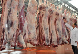 Kırmızı et üretimi yüzde 6 geriledi