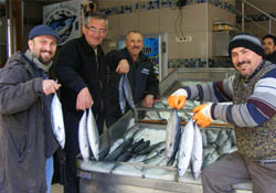 Palamut şaşkınlığı!