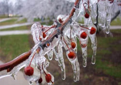 Beklenen meteorolojik hadise